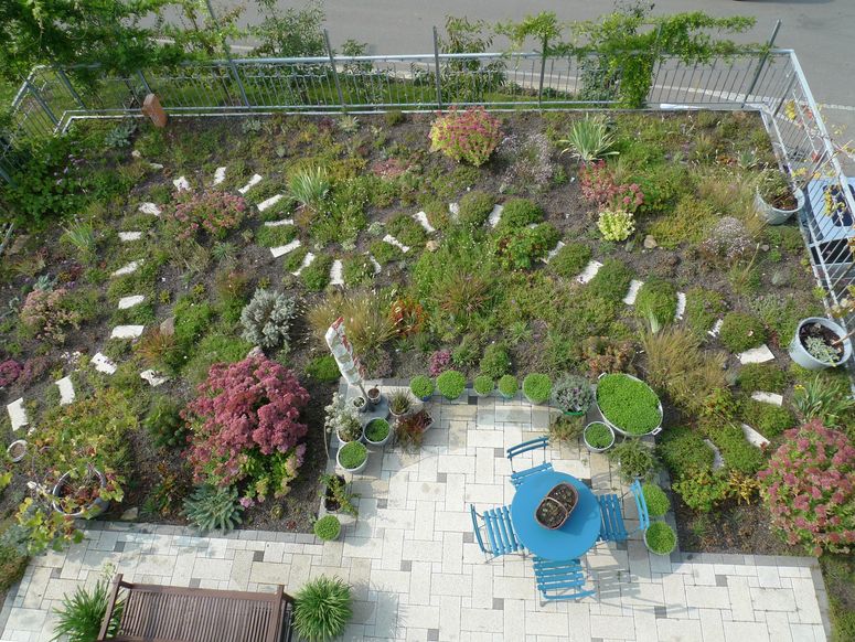 Dachgarten mit intensiver Begrünung und Terrassenfläche - Aufnahme aus Vogelperspektive.